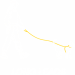 leash_demo4