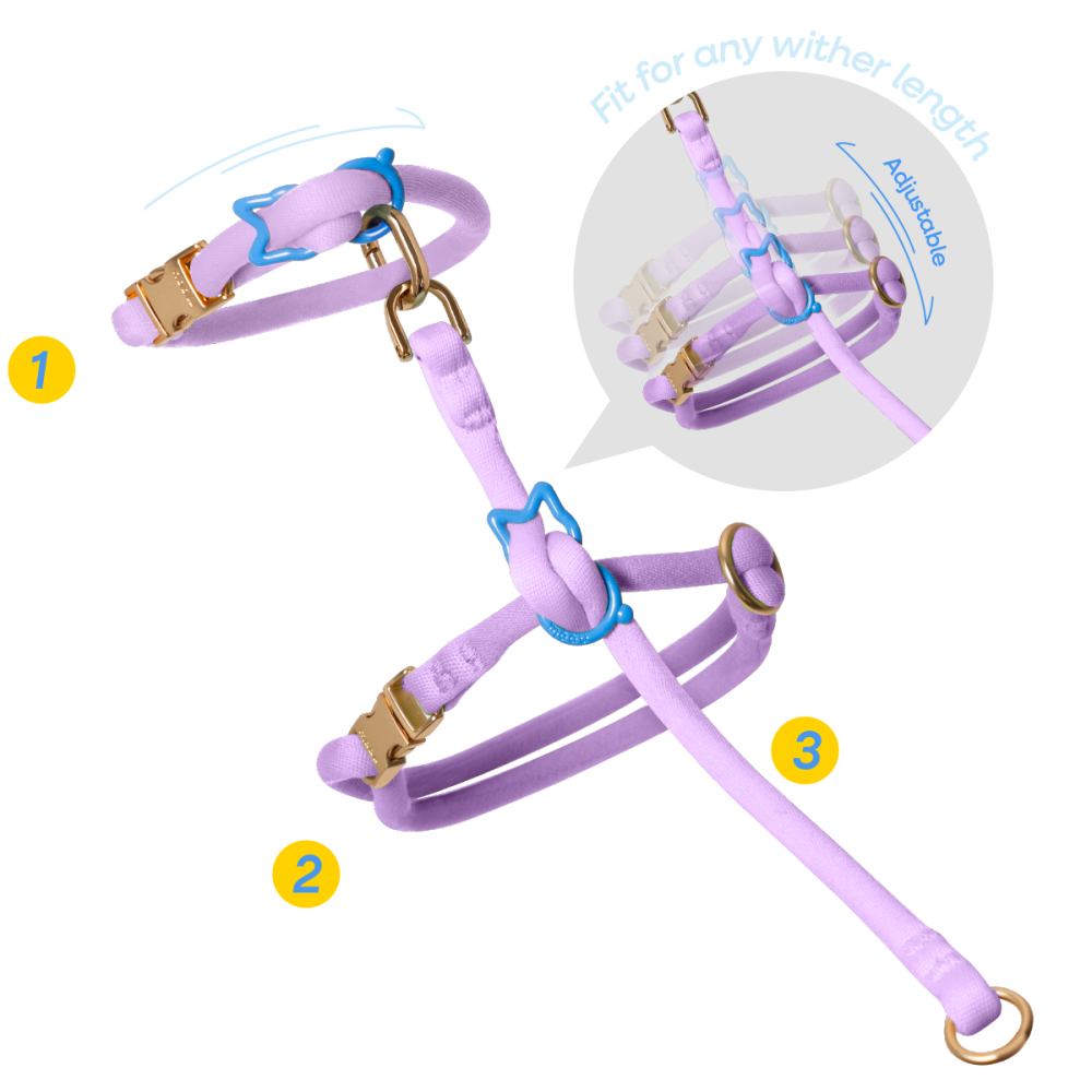 3modularb